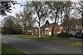 Semi-detached houses, north end of Montague Road, Warwick