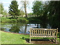 The Halfpenny Pond on Grove Lane