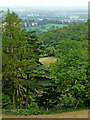 Forest and farmland south-west of Llanddewi Brefi, Ceredigion