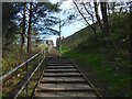 Steps to Dalmonach Road