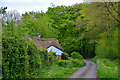 ST1817 : Taunton Deane : Country Lane by Lewis Clarke