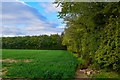 ST1817 : Taunton Deane : Grassy Field by Lewis Clarke