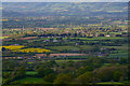 Taunton Deane : Countryside Scenery