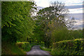 ST1618 : Taunton Deane : Country Lane by Lewis Clarke