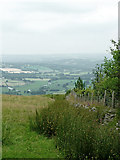SN6553 : Hill pasture and valley near Llanddewi Brefi, ceredigion by Roger  Kidd