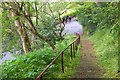 Footpath up from Huddersfield Street, Galashiels