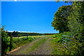 North Devon : Grassy Field