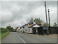 The Mustard Pot, Dereham Road, Whinburgh