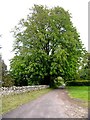 South Moreton: Church Lane