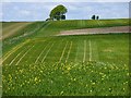 SU1054 : Farmland, Rushall by Andrew Smith