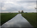 Watton Beck