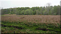 Rough grassland near Woodend