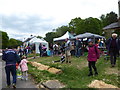 All the fun of the Blackheath May Day Fair (13)