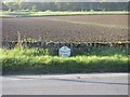 A914 Milestone near Welltree