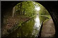 Looking out from the North Portal of the Whitehurst Tunnel, Llangollen Canal