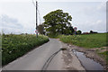 Halvergate Road towards Freethorpe