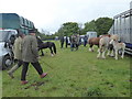 SP1925 : Stow Horse Fair, May 2019 by Vieve Forward