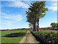 Llwybr ceffyl ger Ffarm Gwardafolog / Bridleway near Gwardafolog Farm