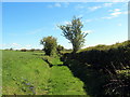 Llwybr ceffyl Gellihen / Gellihen bridleway