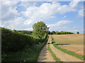 Track to Ermine Street Farm