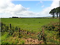 View West across pasture land for the Tate Road