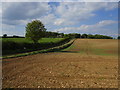 Prepared field and Ermine Street Farm