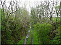 Dumfries-Portpatrick railway, track-bed near Halket Leathes