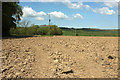 Ploughed field, Ensis