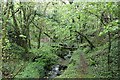 Stream and footpath in Nant Figillt