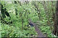 Unofficial footpath, Rhydymwyn