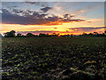 Sunset over Farmland west of Ancoats Lane