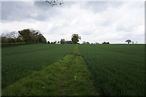TG3808 : Footpath leading to All Saints Church, Beighton by Ian S