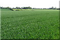 View over the fields to Manor Farm