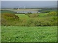 Farmland, Cuby