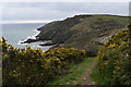 The South West Coast Path above Catchole Beach