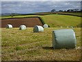 Farmland, St Michael Penkevil