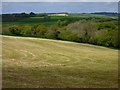 Farmland, Probus