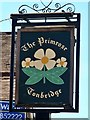 The Primrose sign