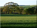 Farmland, St Columb Major