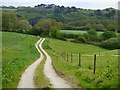 Track and pasture, Kea