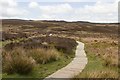 SJ2349 : Offa's Dyke path to Llandegla Forest by Mark Anderson