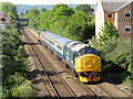 Class 37 in Roath