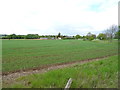 Crop field beside the A176