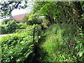 Llwybr Eglwys Llangynllo / Llangynllo Church Path