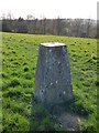 Battle Hill Trig point