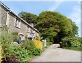 Orsewell Cottages