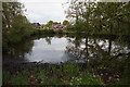 Pond on School Road, Lingwood