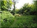 Path to A1075 Watton to Dereham road