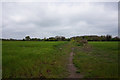 Path leading to Bradwell Hall