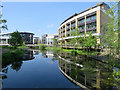 Chelmsford: Chelmer reflections